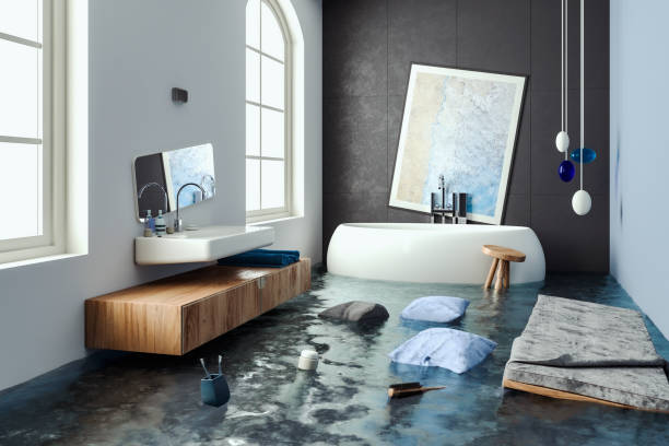 Best Water damage restoration near me  in Youngsville, NC
