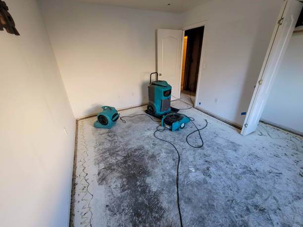 Best Commercial water damage restoration  in Youngsville, NC