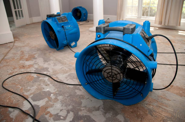 Best Water damage restoration near me  in Youngsville, NC