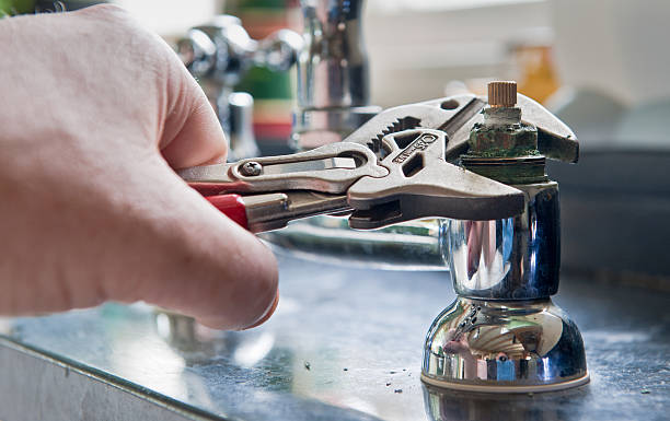 Best Professional water damage repair  in Youngsville, NC