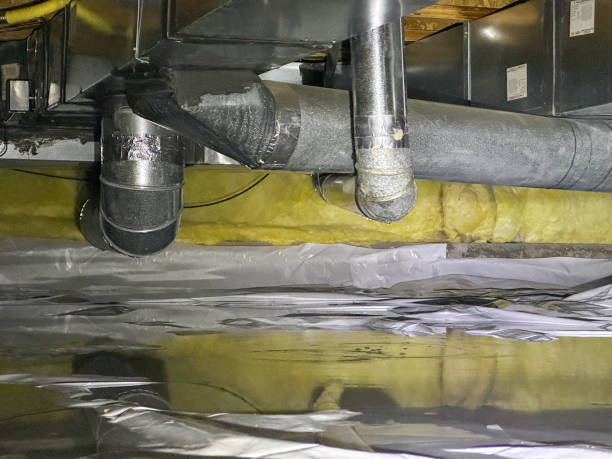 Best Flooded house restoration  in Youngsville, NC