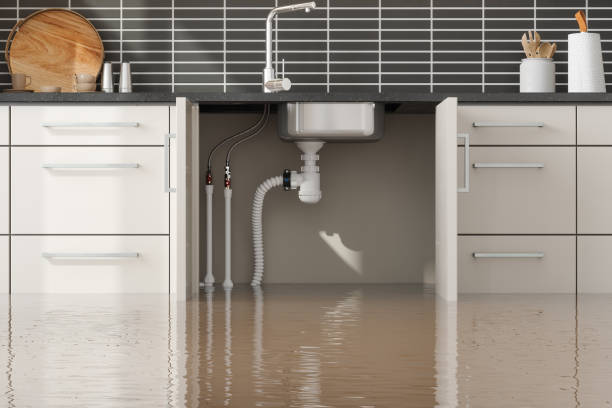 Best Water damage contractors near me  in Youngsville, NC