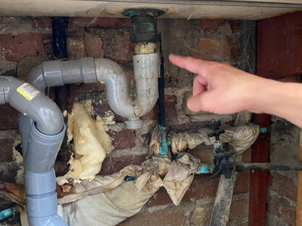 Best Sewage cleanup and water damage restoration  in Youngsville, NC