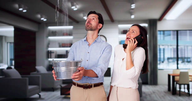 Best Local water damage restoration  in Youngsville, NC