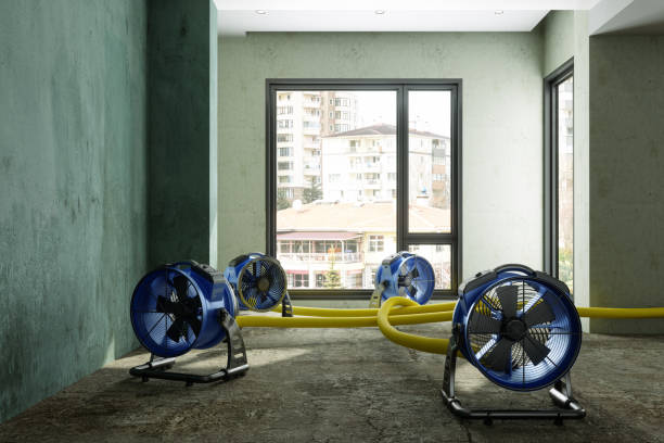 Best Fire Damage Restoration  in Youngsville, NC